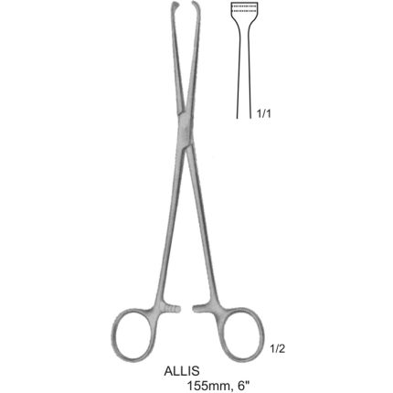 Allis intestinal forceps, 155mm long, with ring handles and toothed jaws for tissue grasping.
