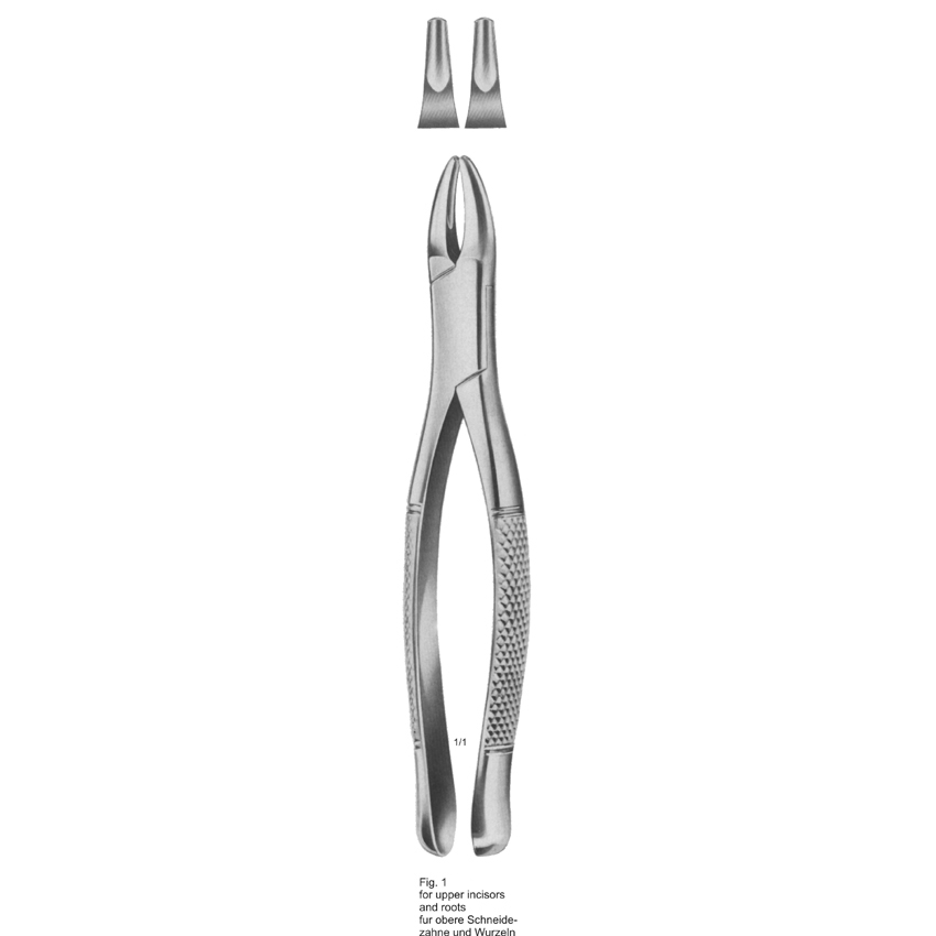 Tooth Extracting Forceps (American Pattern) for upper incisors Dental extracting forceps Fig. 1 for upper incisors and roots, stainless steel American Pattern extraction instrument